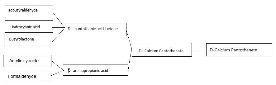 d calcium pantothenate production process 1