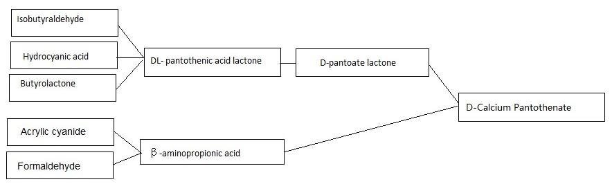 d calcium pantothenate production process 2