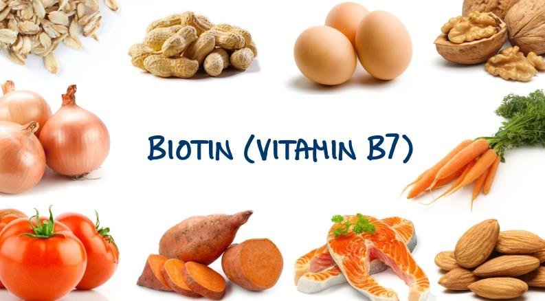 biotin vitamin b7 h