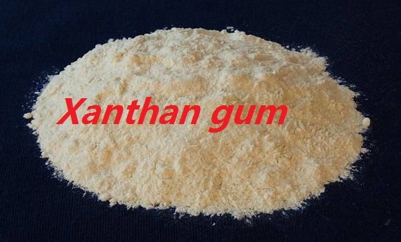 xanthan gum CAS 11138-66-2