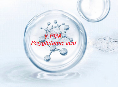 γ-PGA (Polyglutamic acid) CAS 25736-27-0