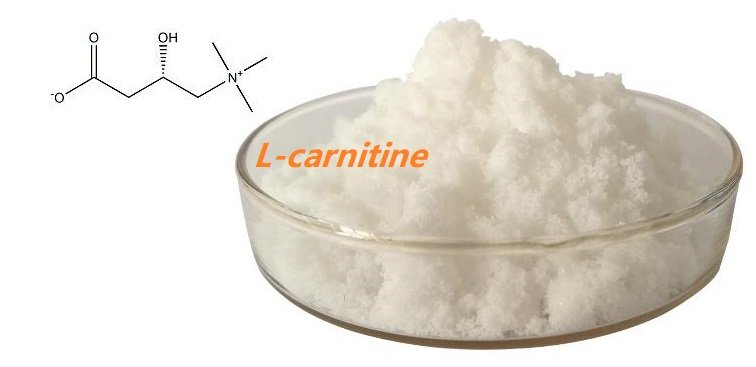 L-carnitine