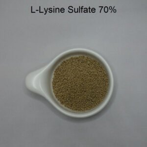 L-lysine sulfate 70%