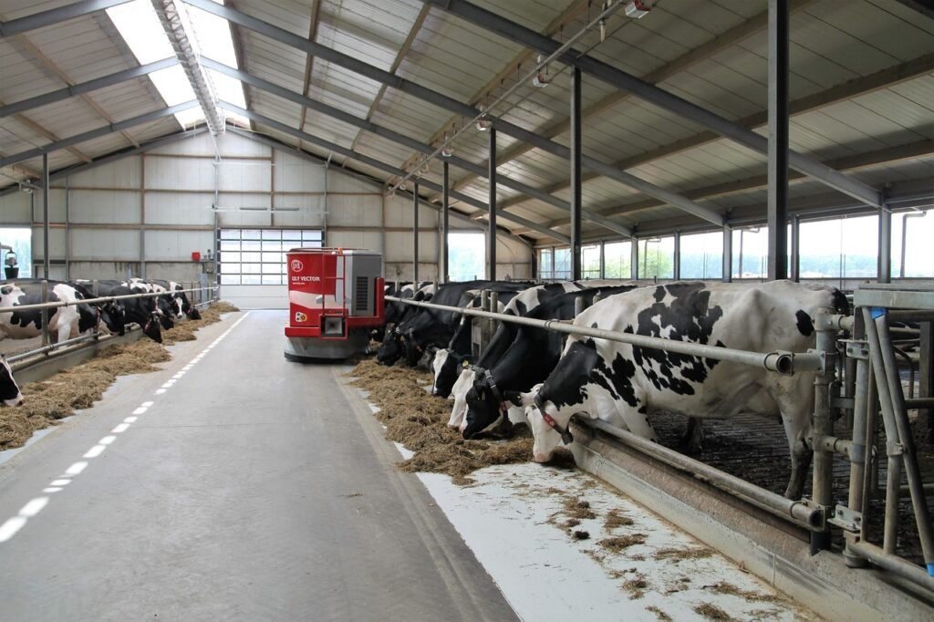 dairy farm, farm, robot-2811887.jpg